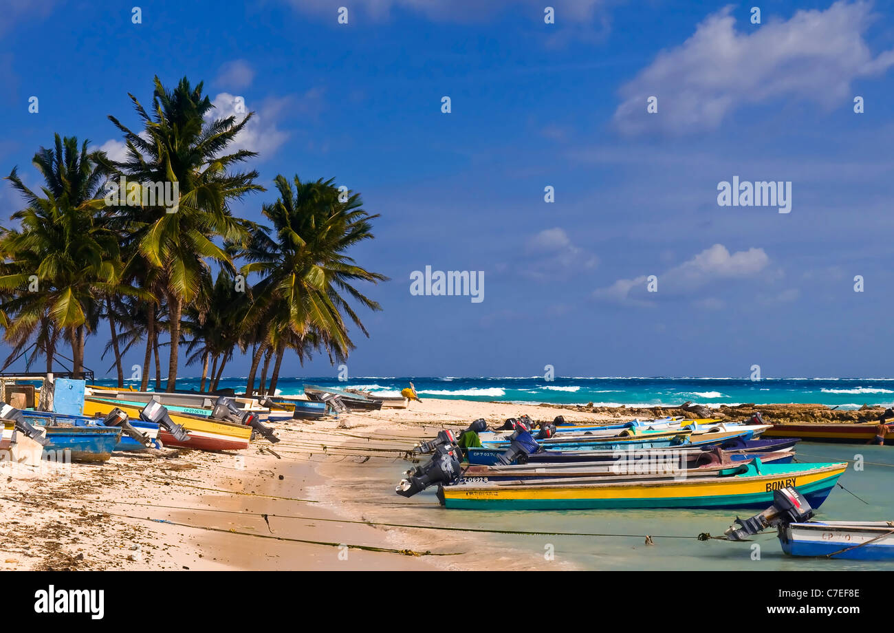 Tropical beach on the Caribbean island of San Andres , Colombia Stock Photo