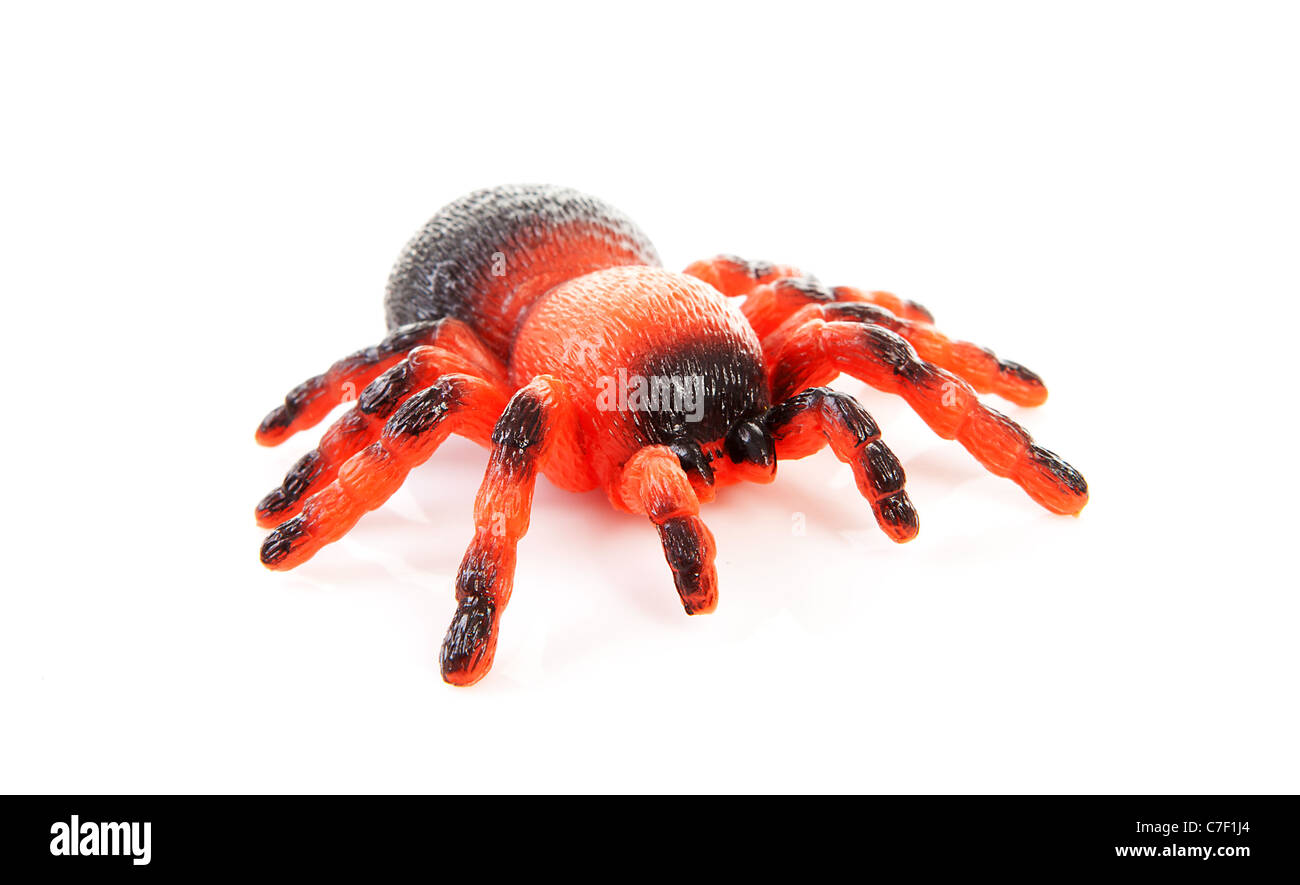 one plastic spider toy over white background Stock Photo
