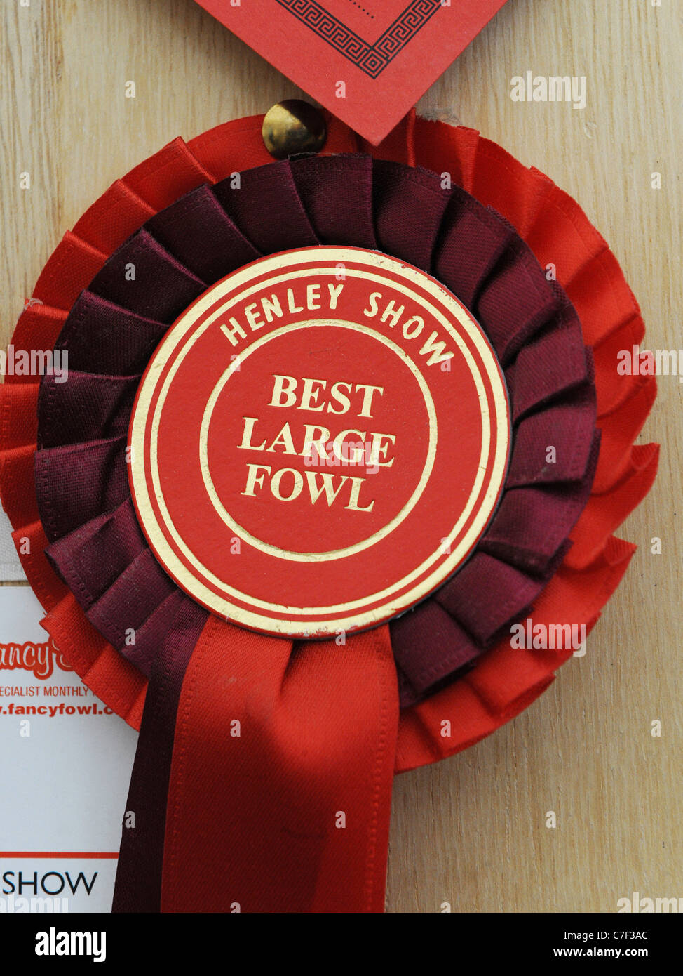 A rosette awarded to the best large fowl, at a country show Stock Photo