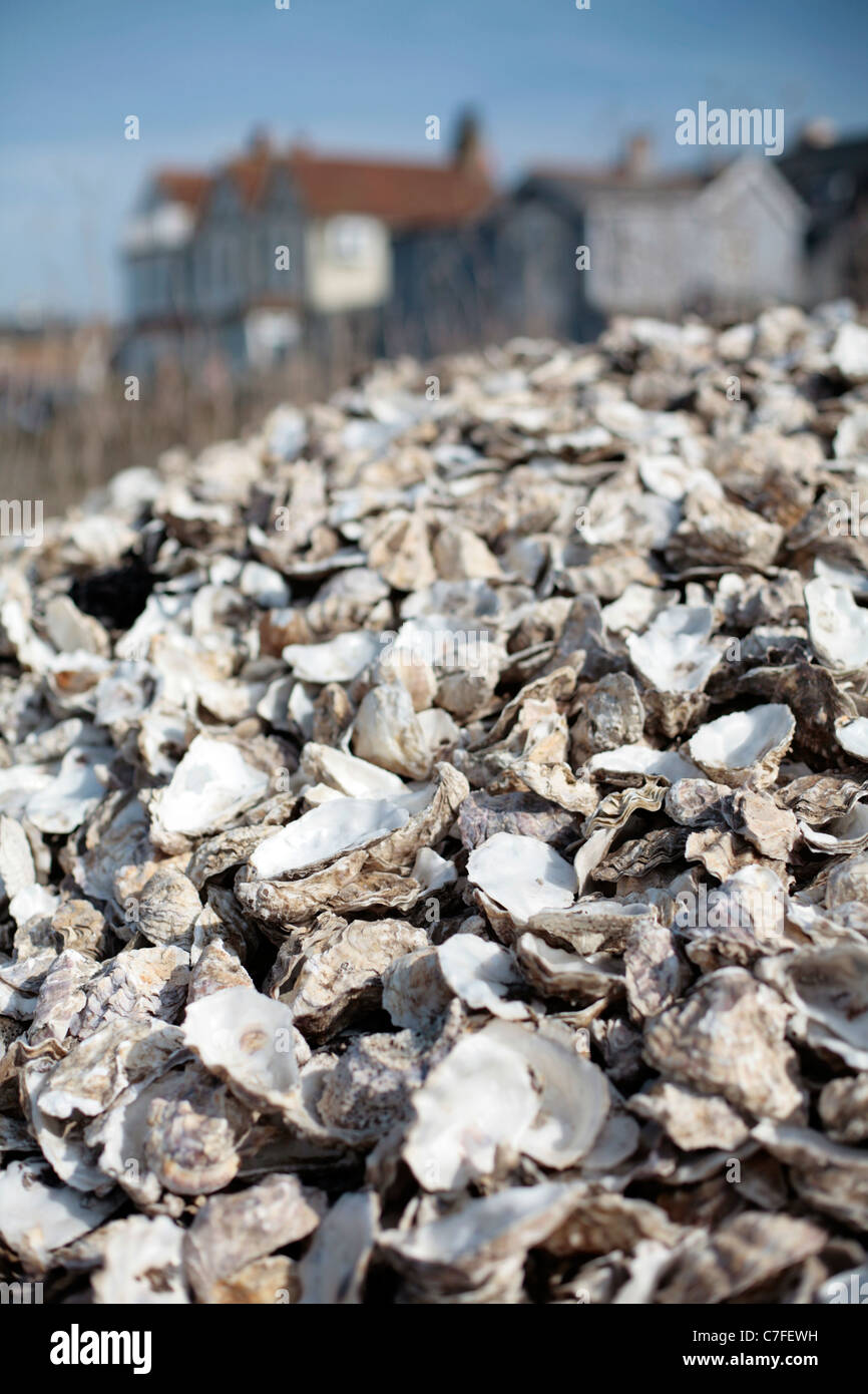 Pile Of Oyster Shells High Resolution Stock Photography and Images Alamy