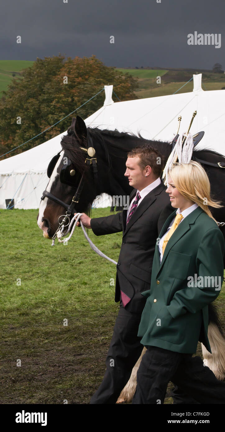 shire horse with handlers at hayfield Derbyshire show ground fair Stock
