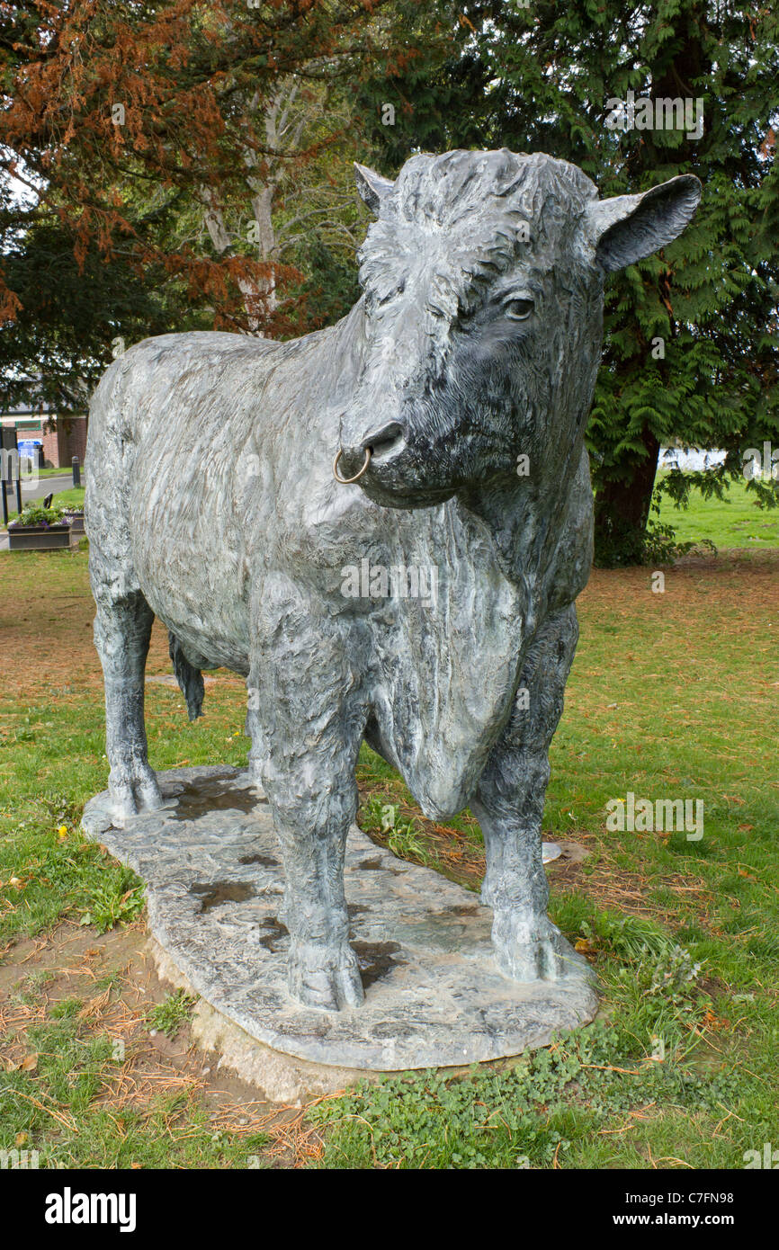 Black bull ring nose hires stock photography and images Alamy