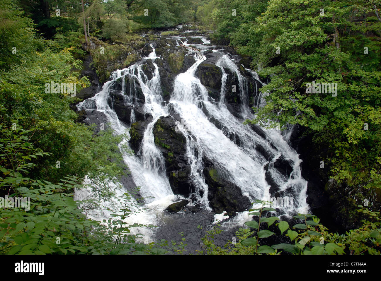 Swallow Falls near Betws y Coed in Snowdonia, north Wales Stock Photo
