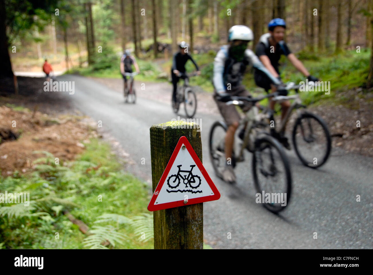 Mountain bikers on off road trail at the coed y brenin mountain bike