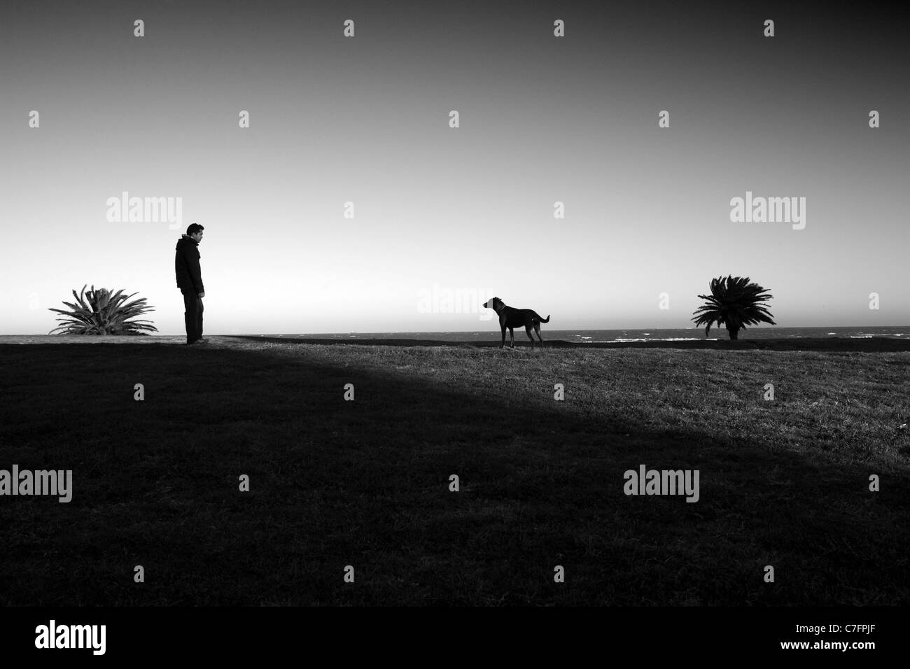 Man with dog Montevideo Uruguay Stock Photo