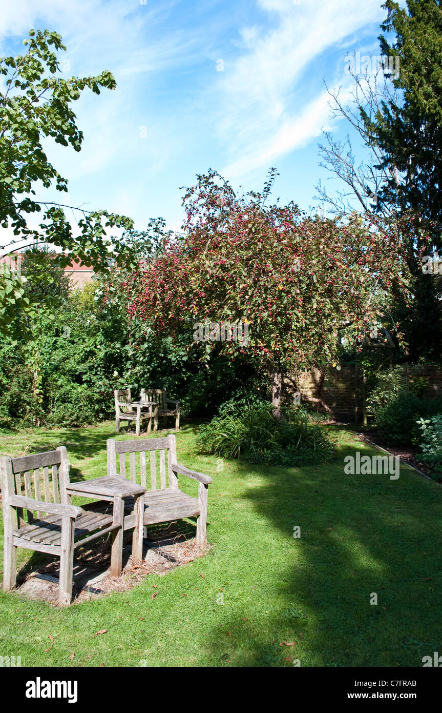 Crab apple tree in a garden, Surrey, England, UK Stock Photo Alamy
