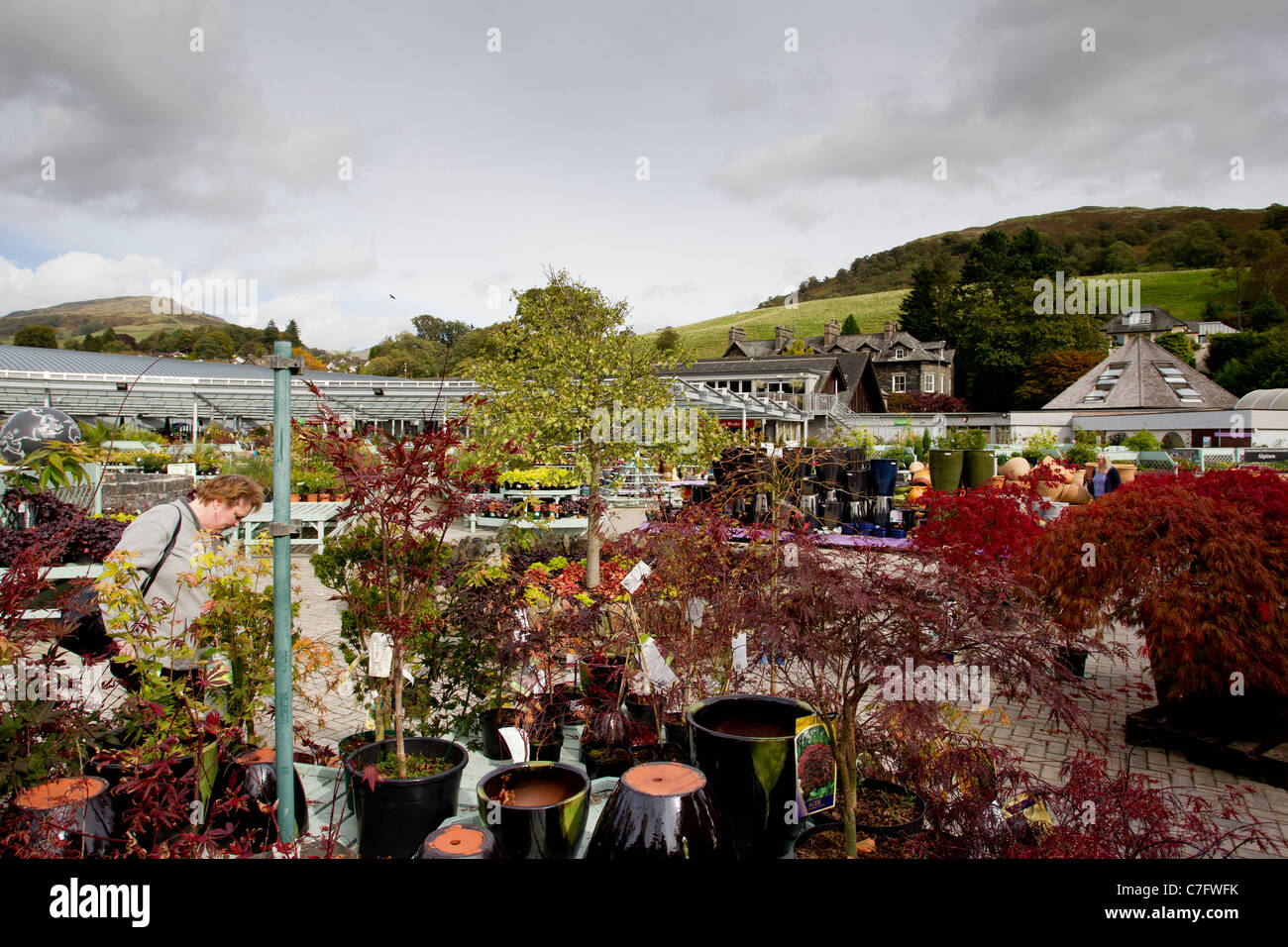 Hayes Garden World Garden Centre Ambleside Cumbria North West England United Kingdom UK Great