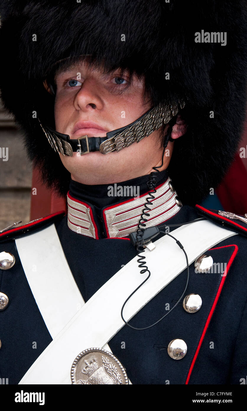Danish royal guard at Palace in Copenhagen Stock Photo Alamy