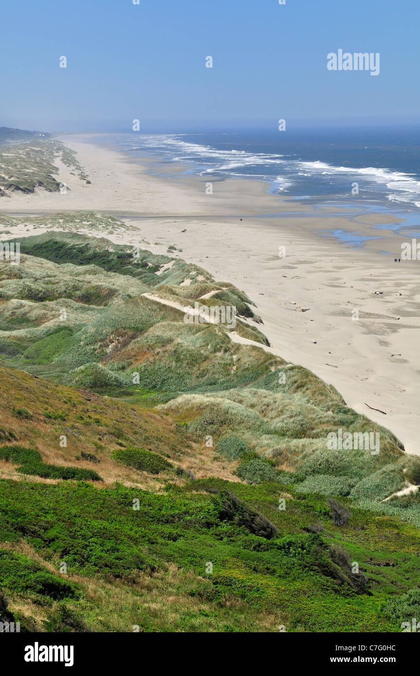 Oregon shore and beach near Newport Oregon Stock Photo Alamy