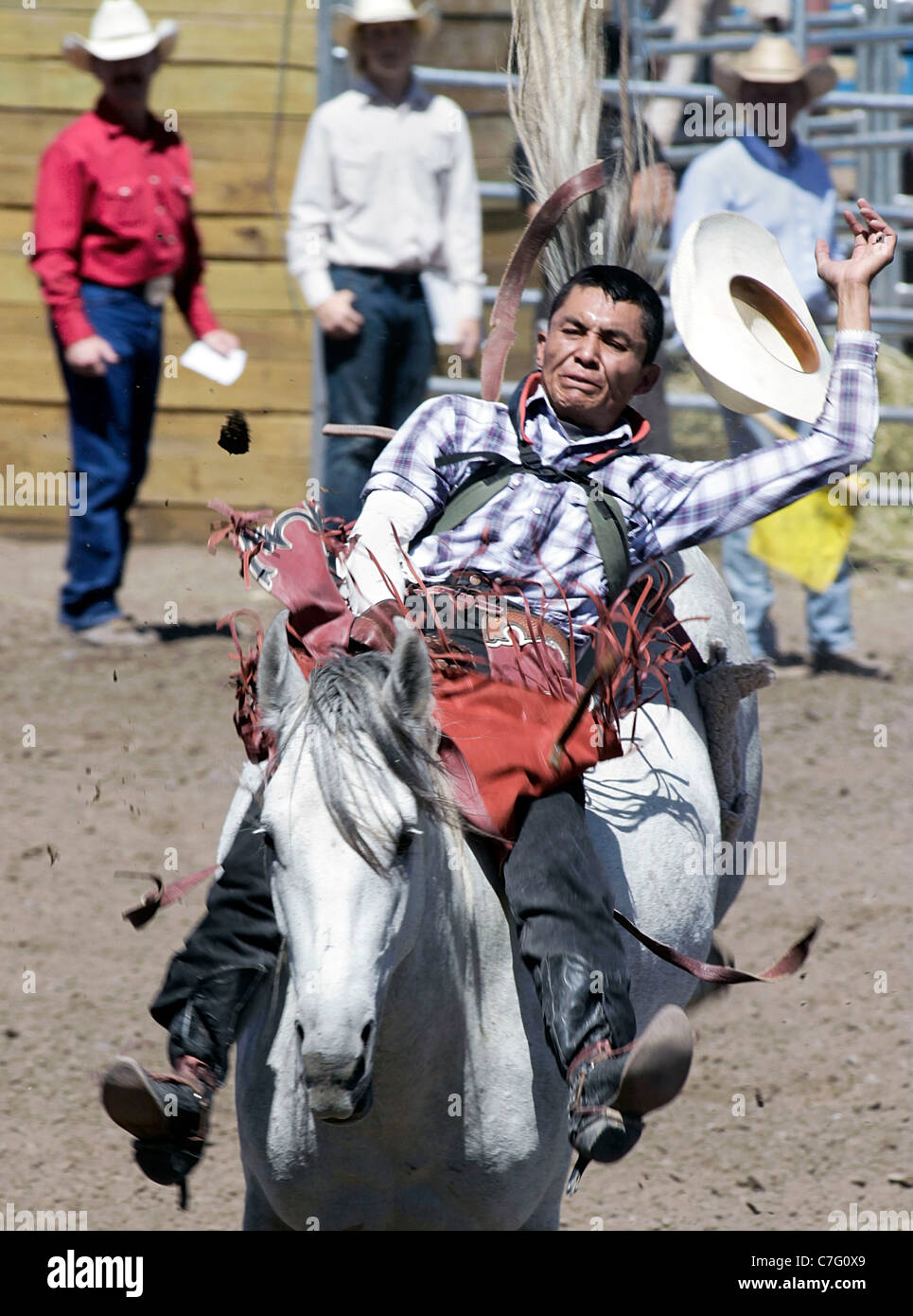 Bronco riding hires stock photography and images Alamy