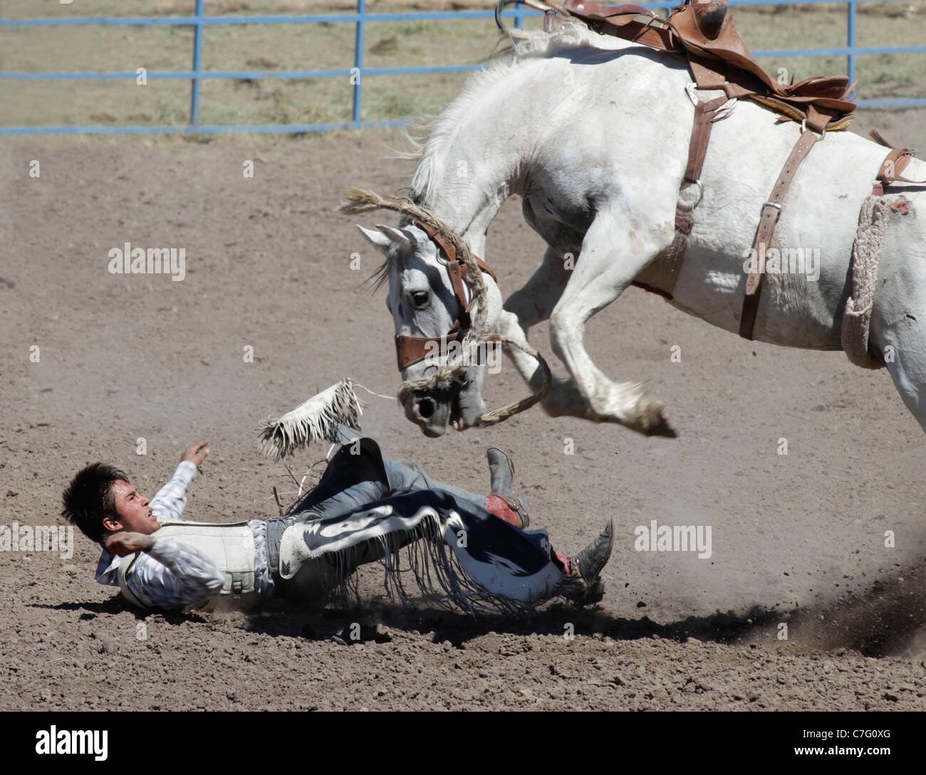 Bronco rider reacting to his mount jumping on him after he fell during