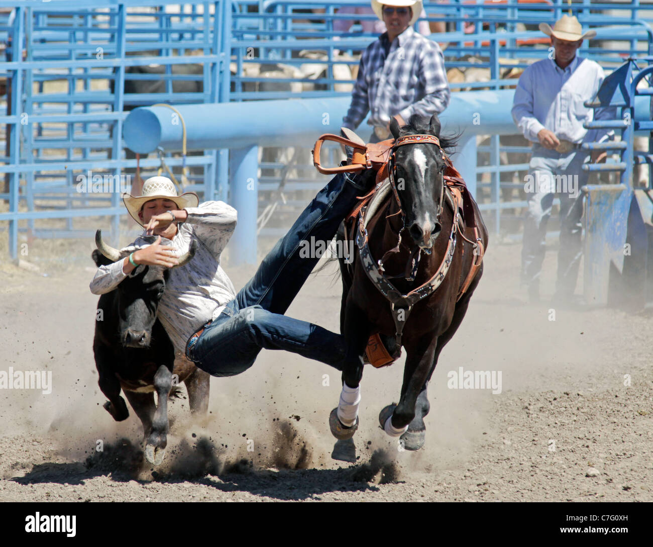 Competitor during the calf tiedown event of the rodeo held on the Fort