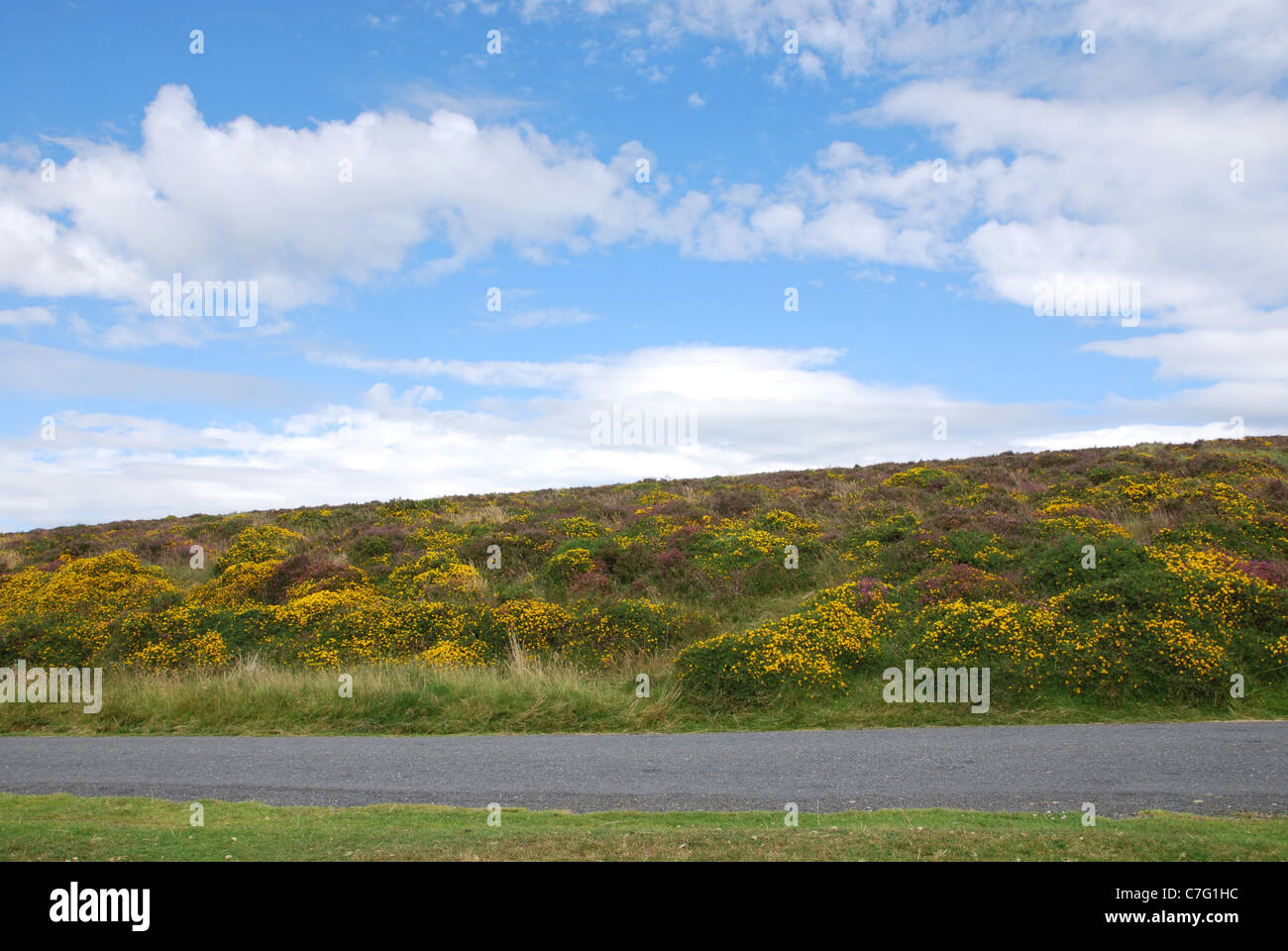 desolate Dartmoor landscape near Shapley Common Devon UK Stock Photo