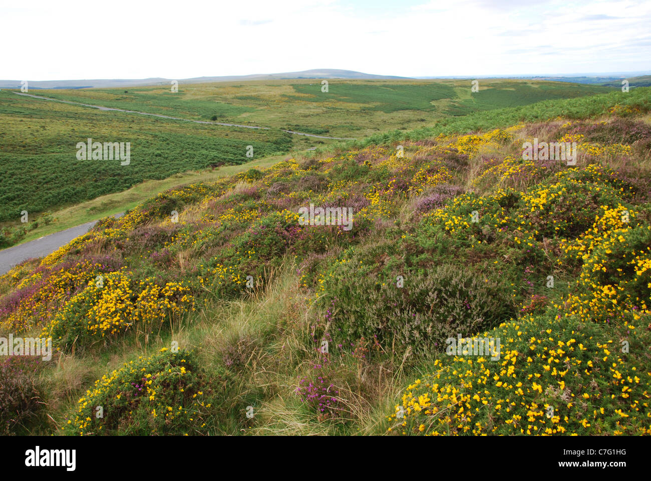 desolate Dartmoor landscape near Shapley Common Devon UK Stock Photo