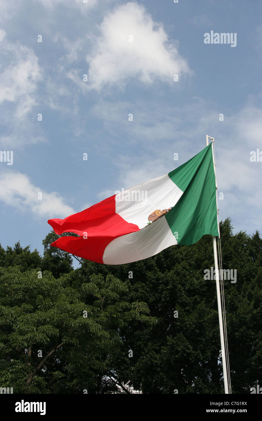 Mexican flag oaxaca mexico hi-res stock photography and images - Alamy