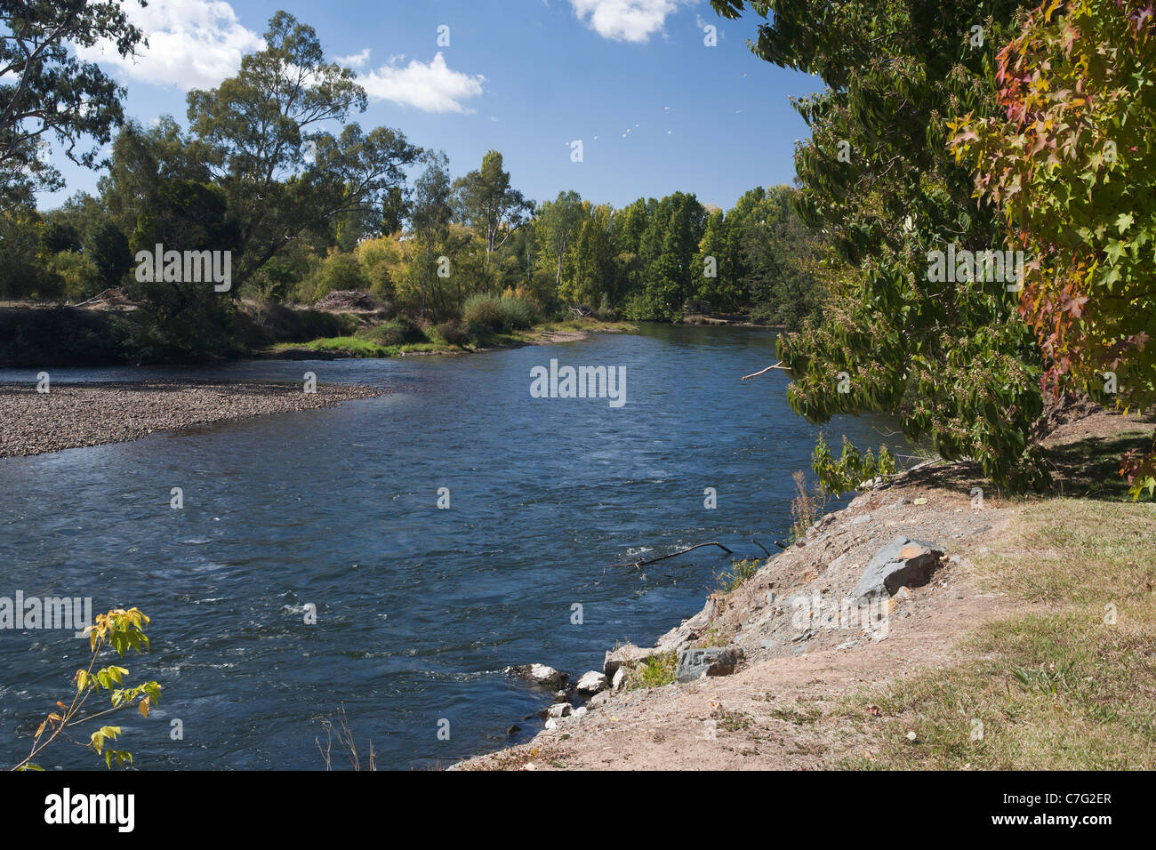 Tumut river Tumut NSW Australia Stock Photo Alamy