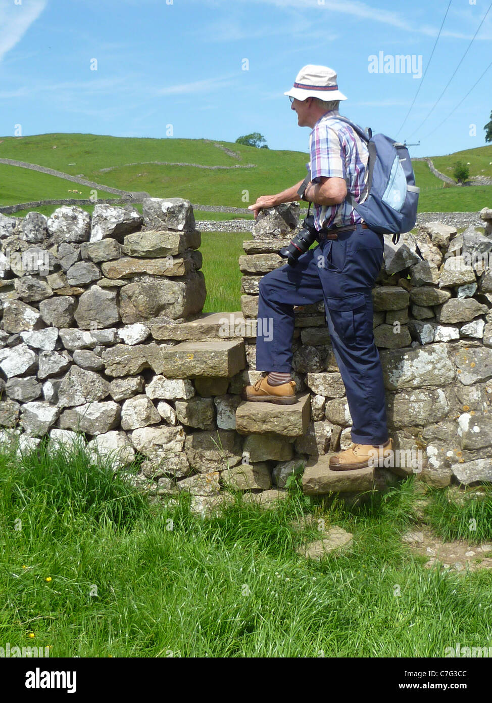A stone step gap stile in Wharfedale, Yorkshire Stock Photo