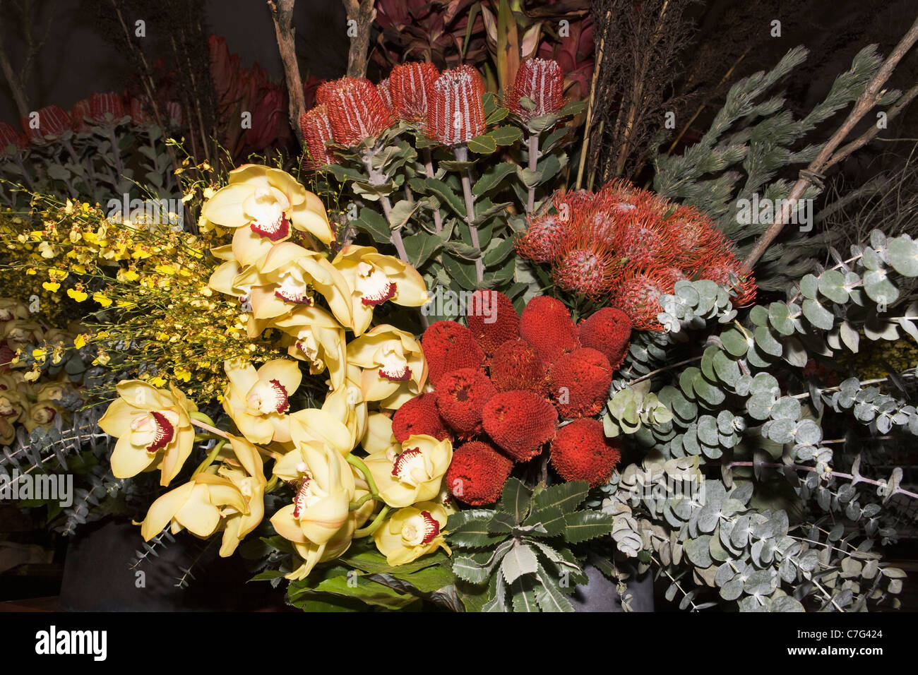 Australian wildflowers detail Stock Photo