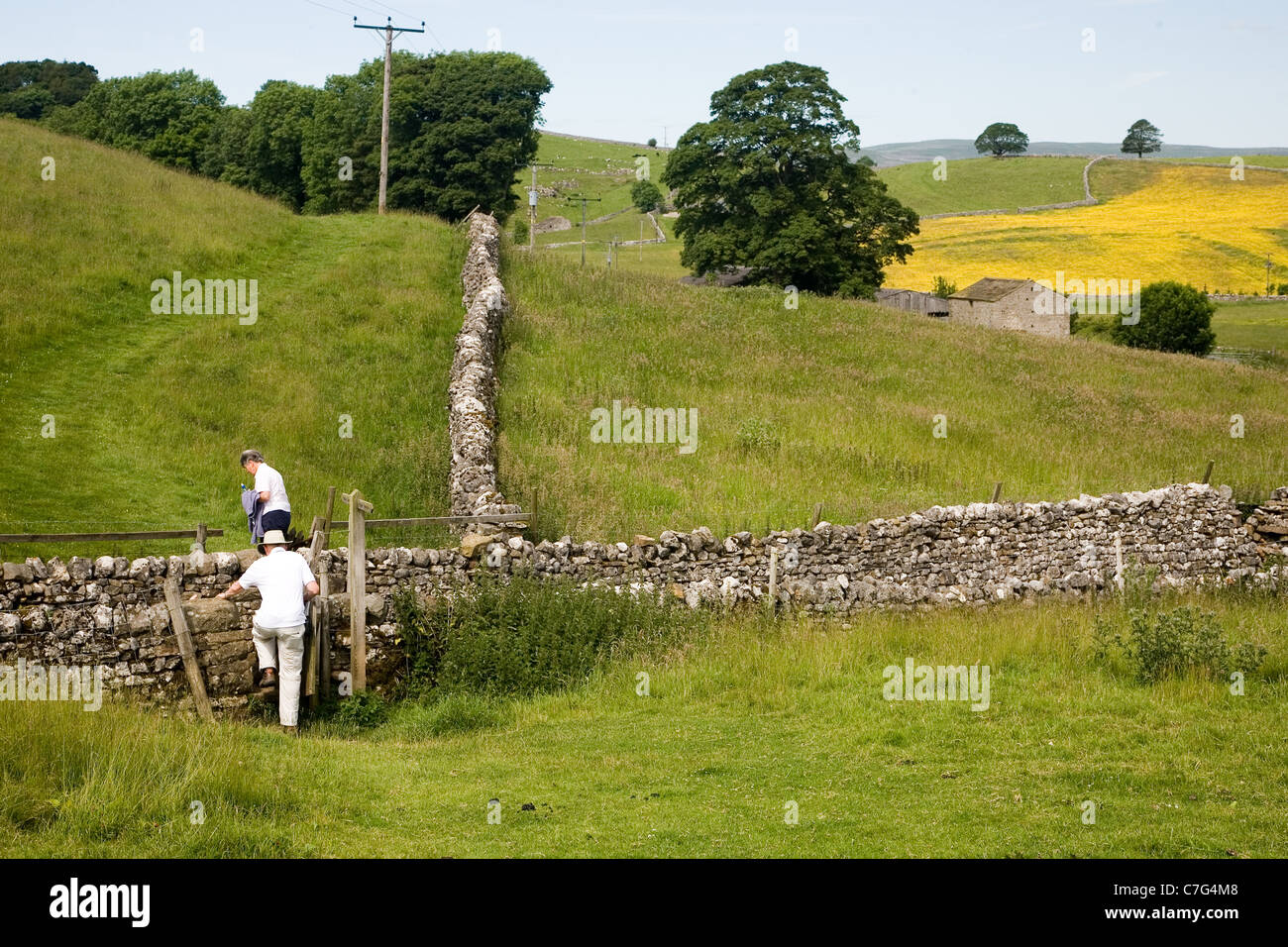 Walking in the Yorkshire Dales in mid-summer - Wharfedale near Burnsall Stock Photo