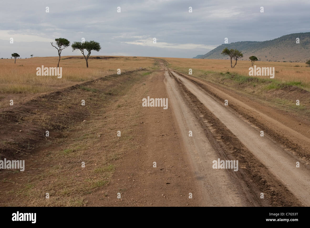 Massai mara reserve hi-res stock photography and images - Alamy