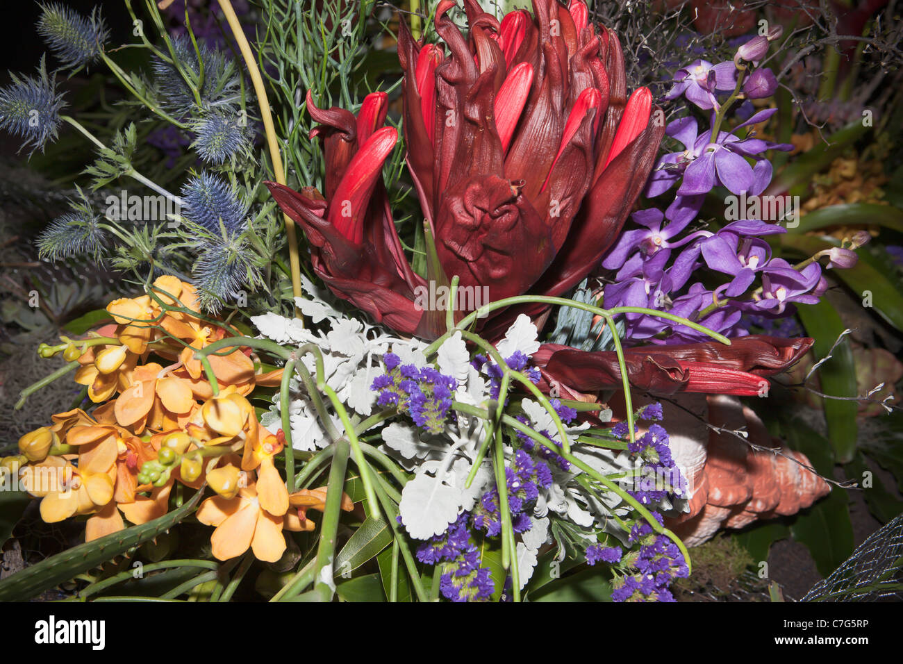 Gymea lily, orchids floral arrangement Stock Photo Alamy