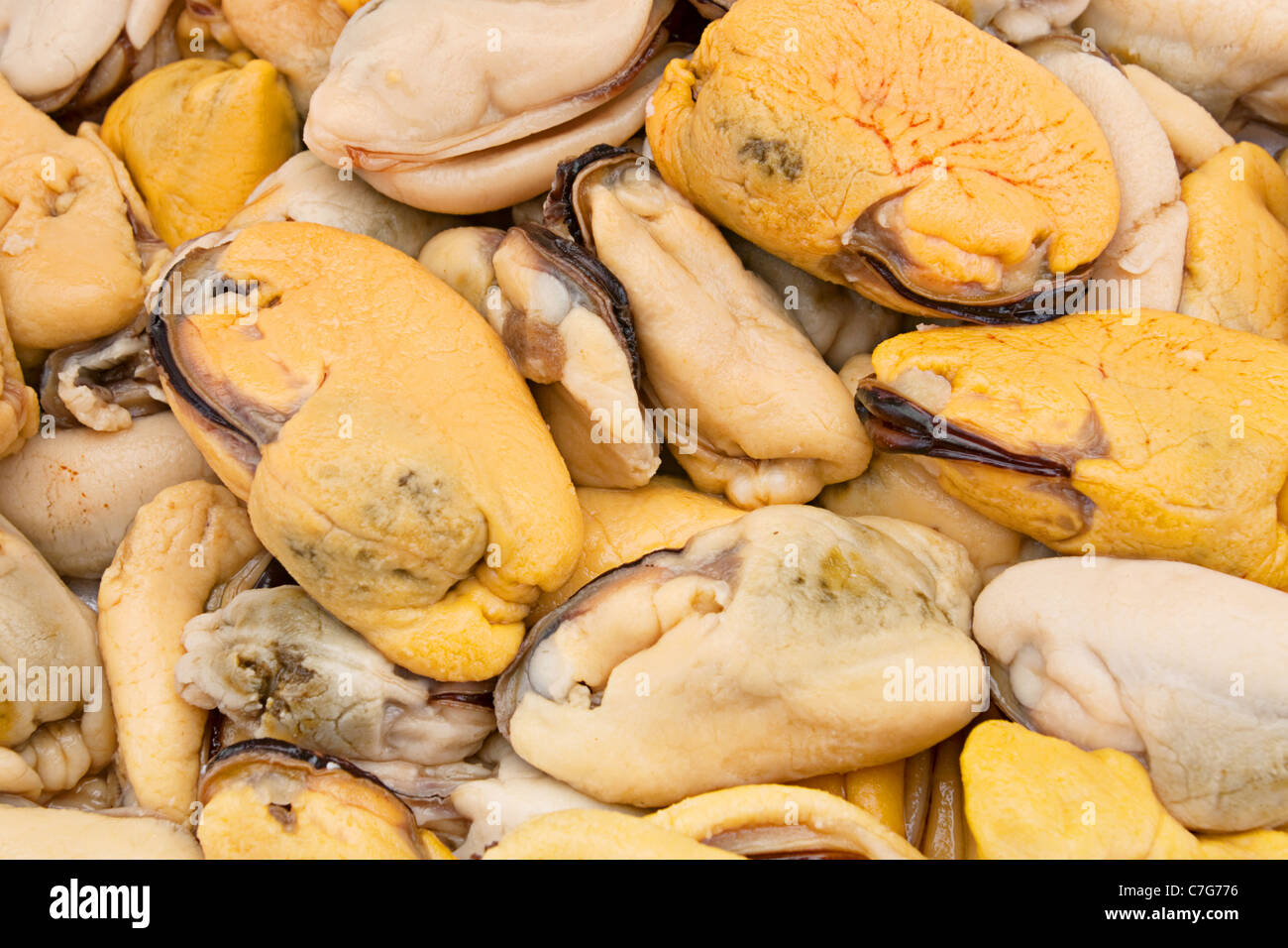 Boiled yellow mussel seafood closeup view background Stock Photo