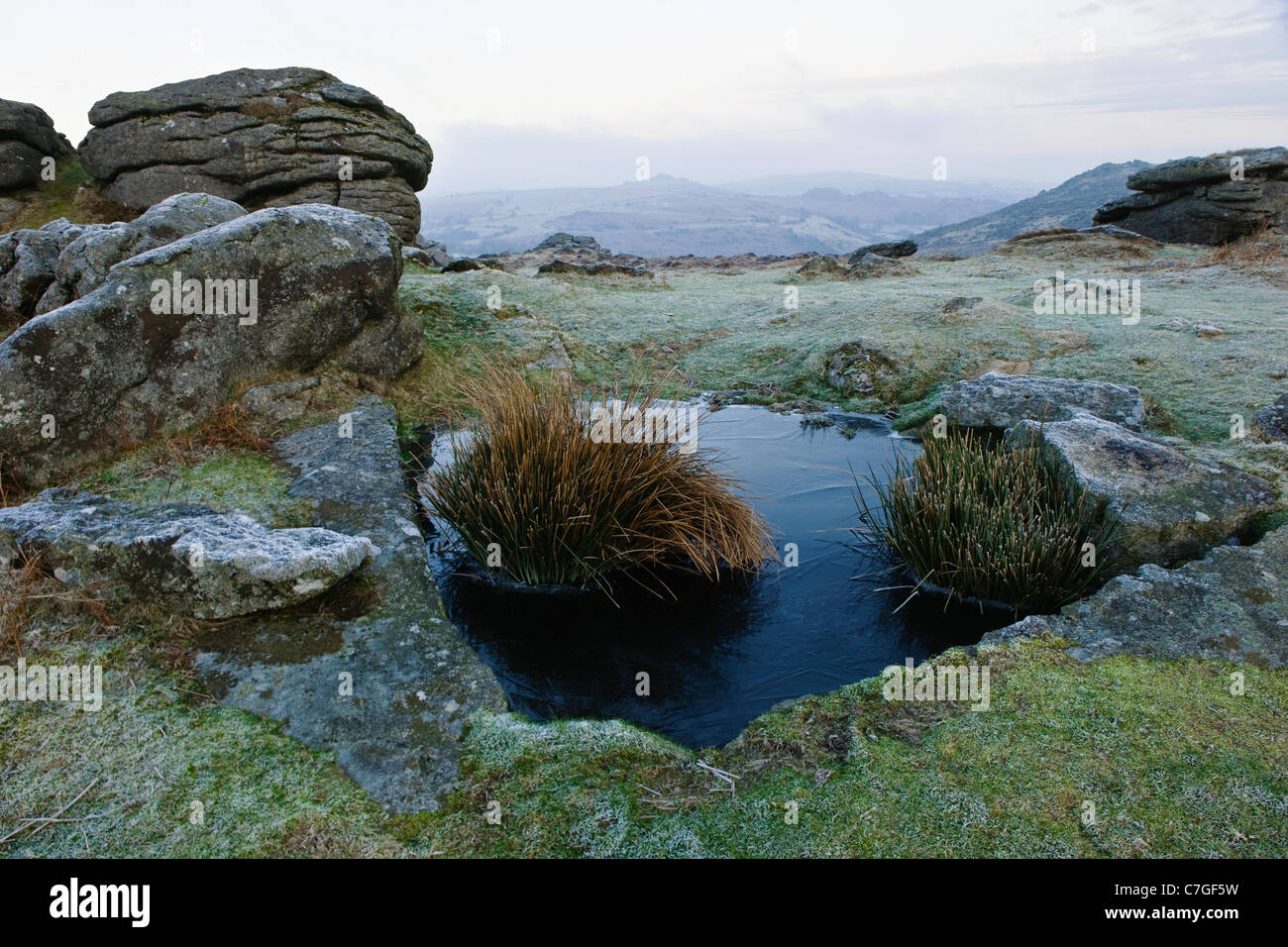 Landscape of Dartmoor National Park near Haytor with frozen water and reeds in foreground taken at dawn in January 2011 Stock Photo