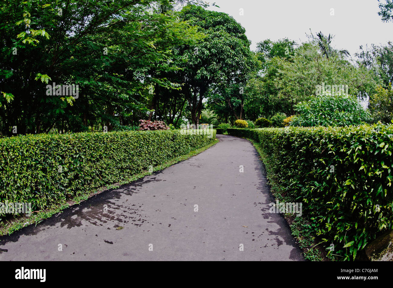 merge  [PH] Stock Photo