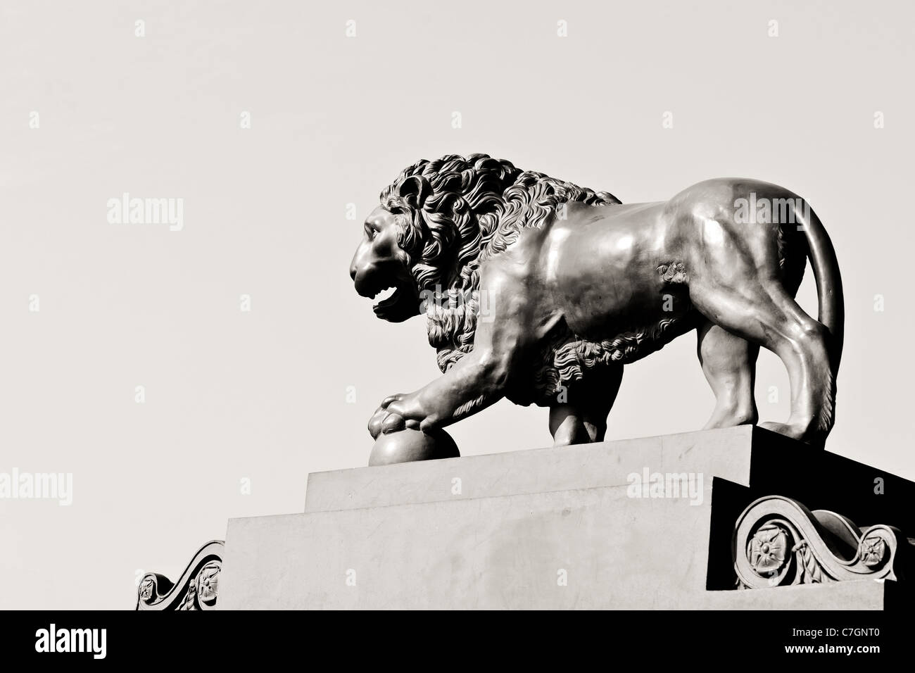 Bw lion hi-res stock photography and images - Alamy