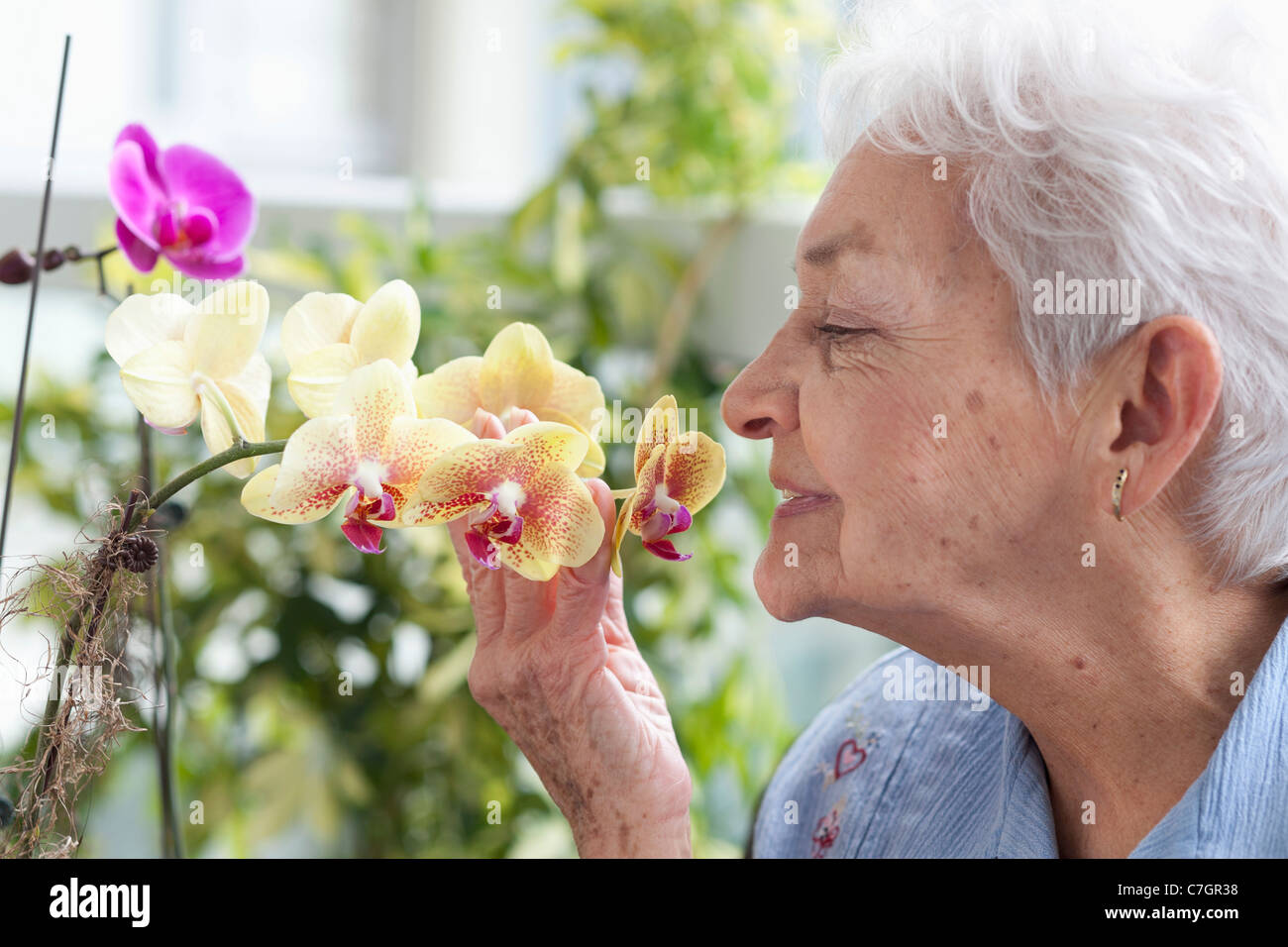 Пожилые после ковида. Ароматерапия для пожилых. Обоняние у пожилых. Пожилые люди с цветами. Вкус у пожилых.