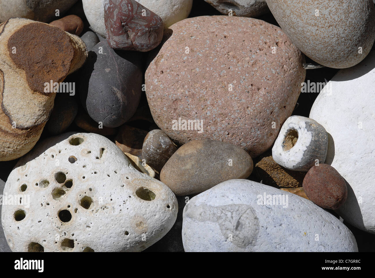 Group of various pebbles and stones taken in warm sunlight. Stock Photo