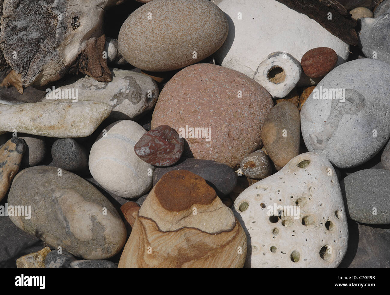 Group of various pebbles and stones taken in warm sunlight. Stock Photo