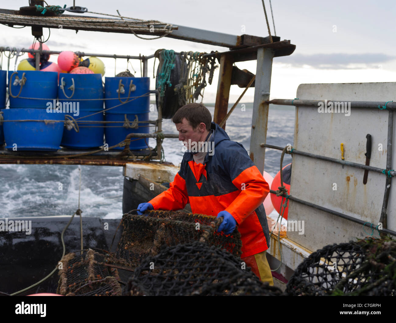 dh  CRAB UK Fisherman on fishing boat setting lobster crab creels creel pot pots scotland Stock Photo