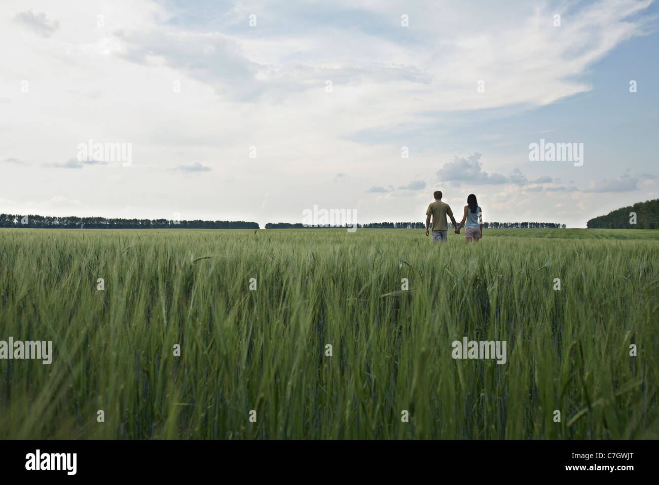 A man and woman walking hand in hand through a remote wheat field Stock Photo