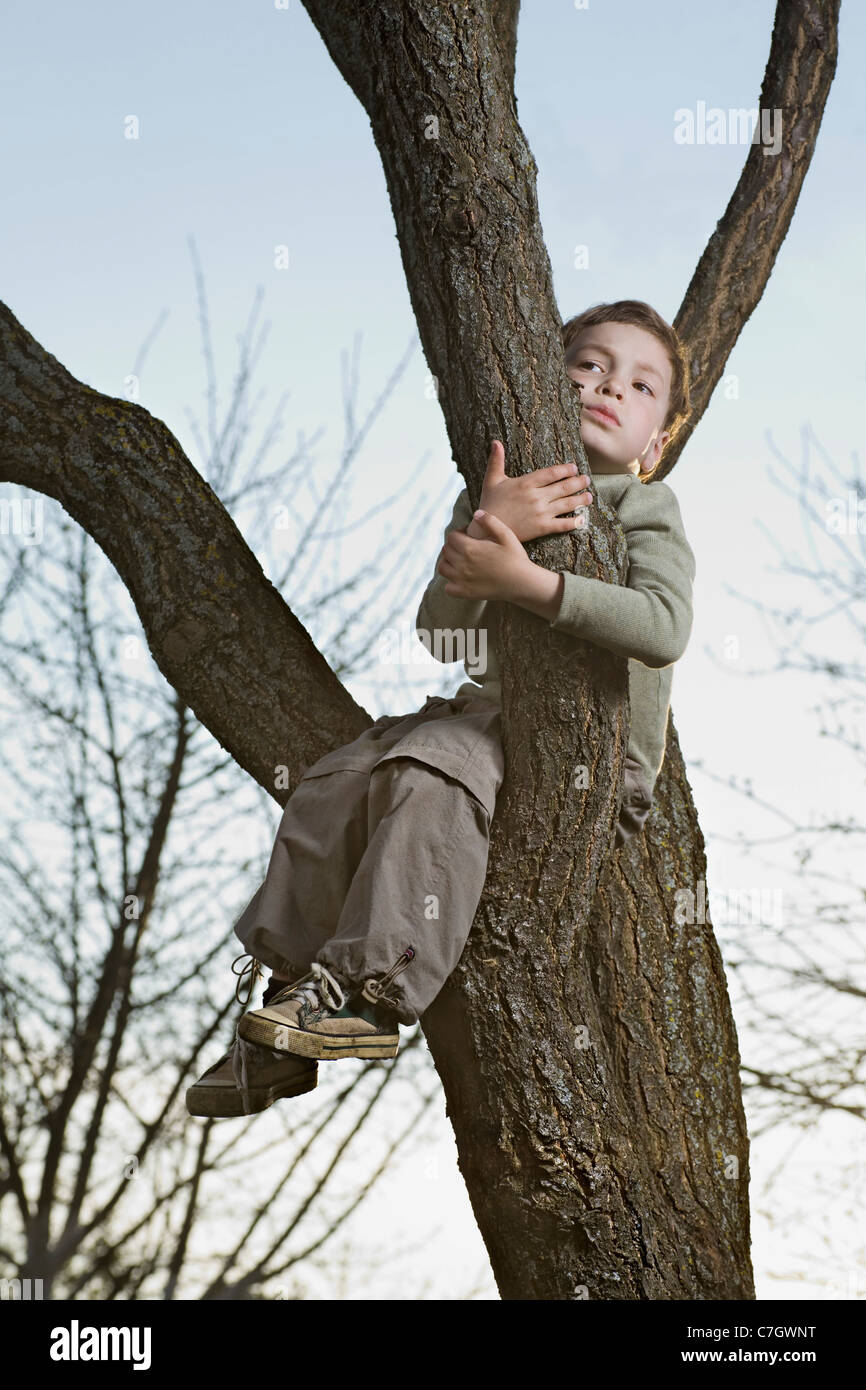 An unhappy boy sitting in a tree gripping a branch Stock Photo Alamy