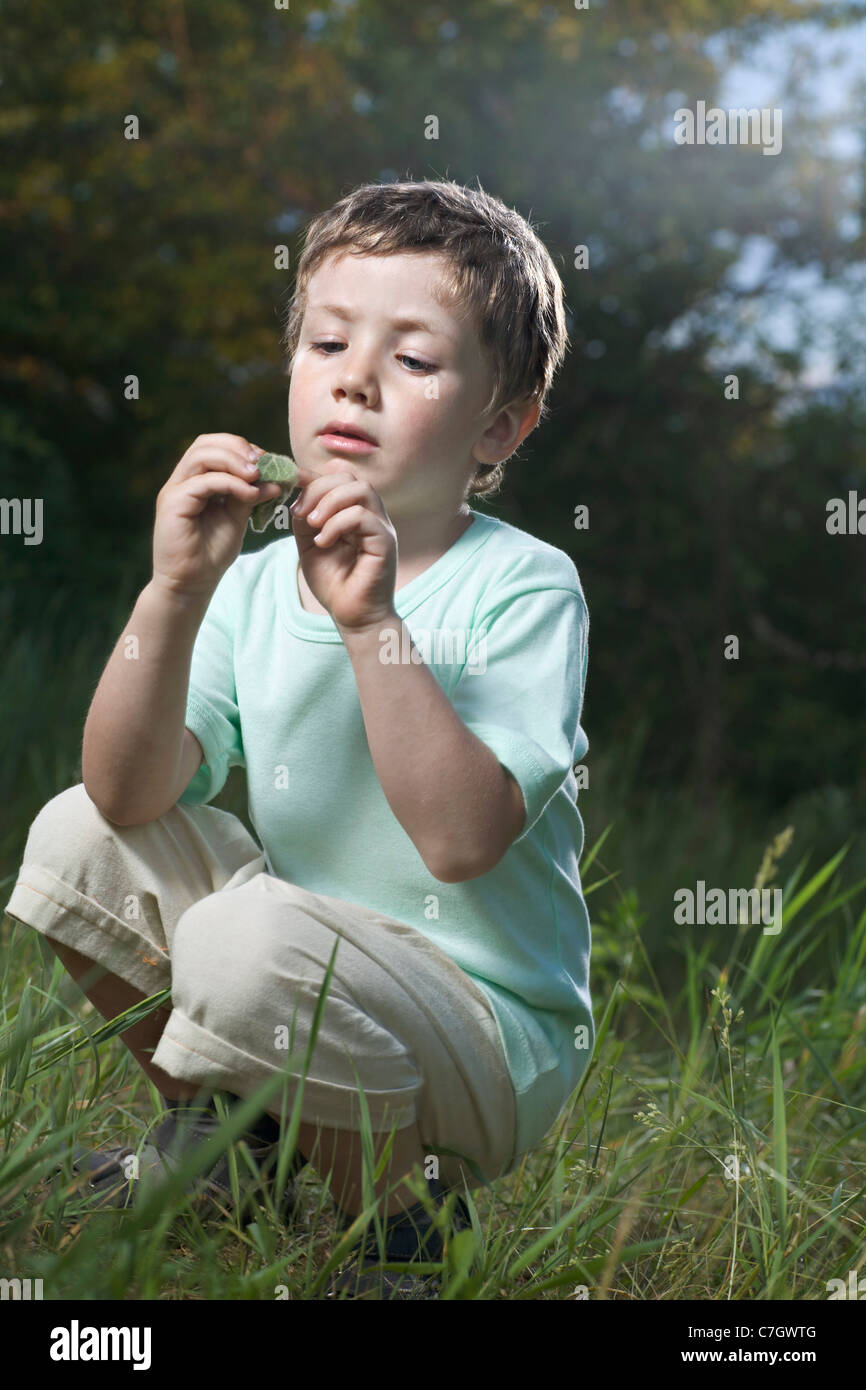 A boy staring intently at a leaf, summer Stock Photo