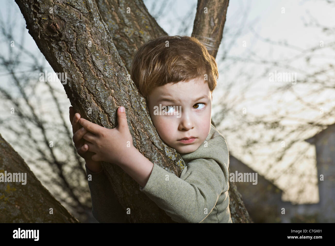 A young scared looking boy holding on to a tree branch Stock Photo Alamy