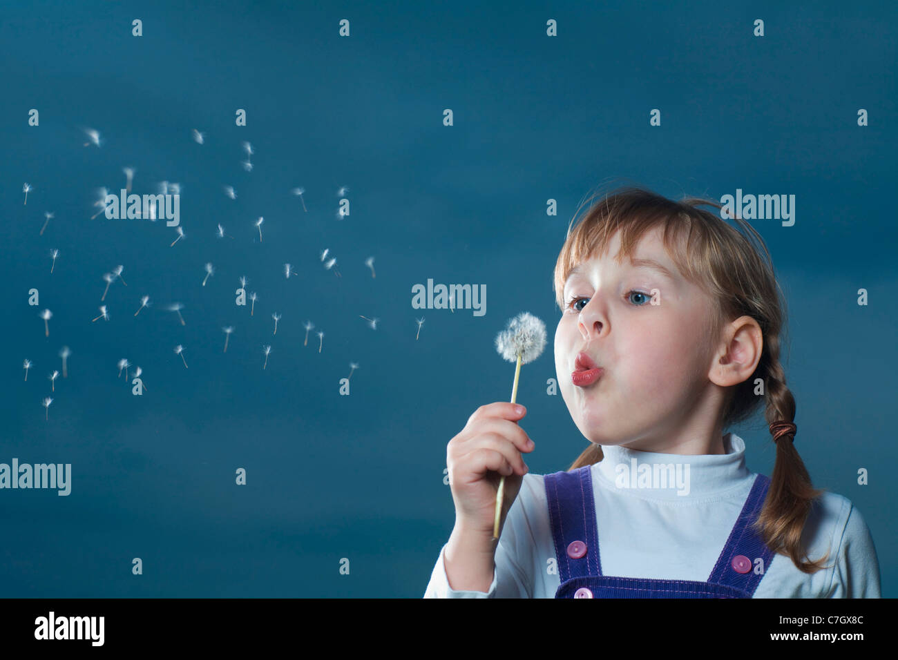 A girl blowing on a dandelion Stock Photo