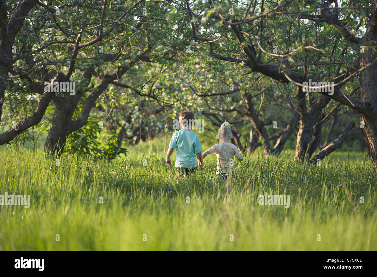 A brother and sister walking hand in hand through a meadow Stock Photo