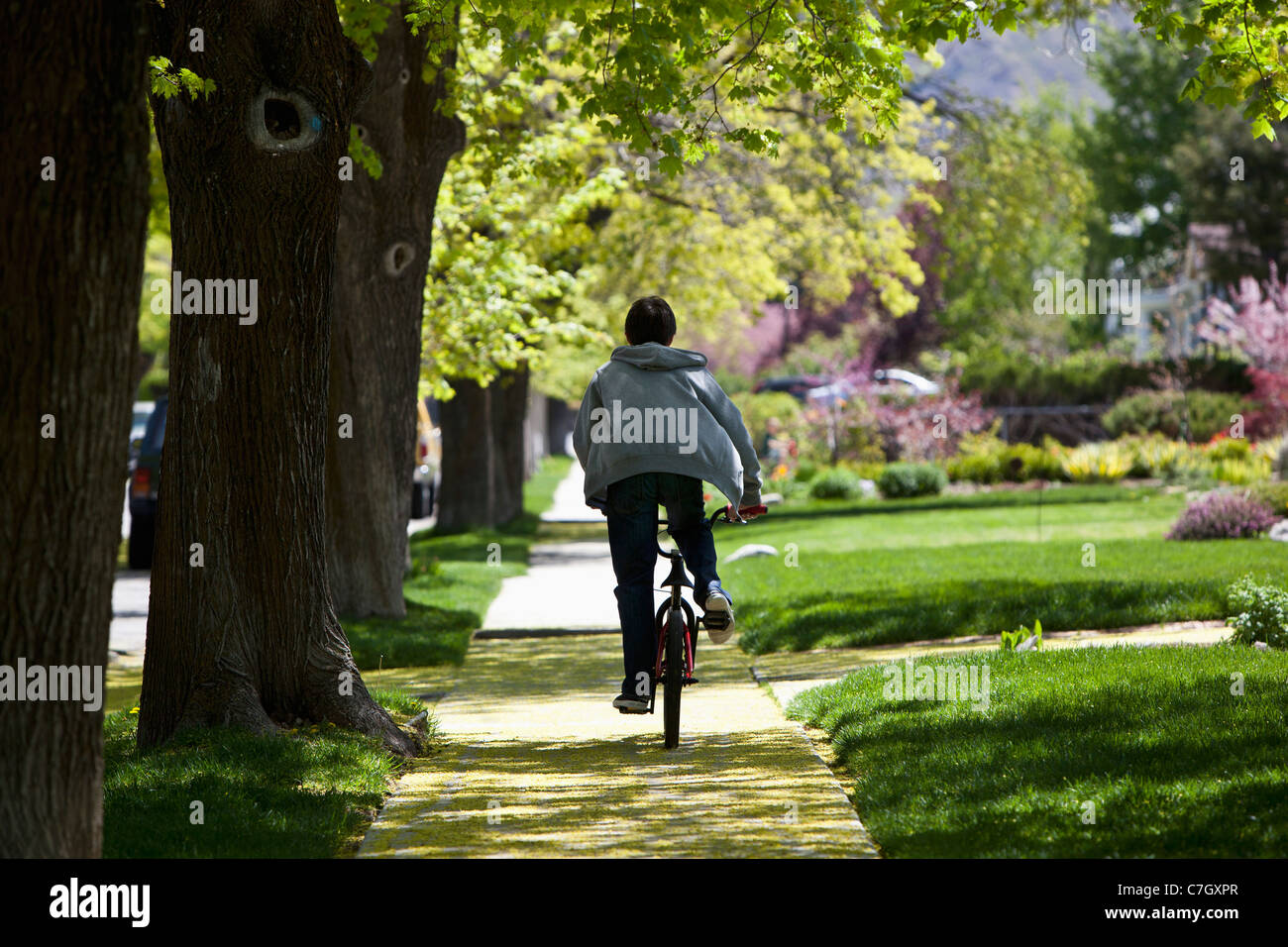 Back view of boy on footpath riding bike Stock Photo Alamy