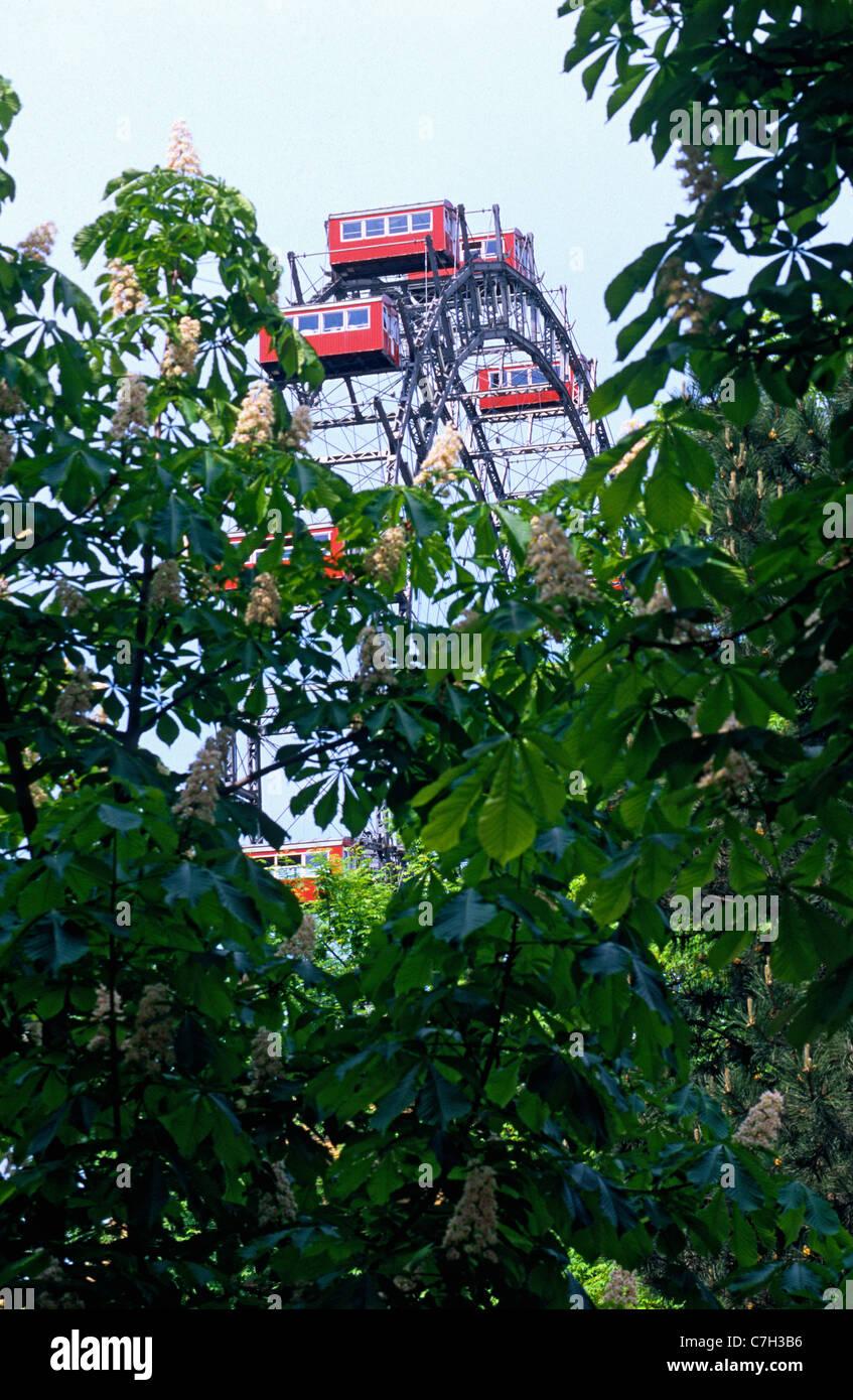 Austria, Vienna, Prater park amusement park big wheel seen behind trees Stock Photo