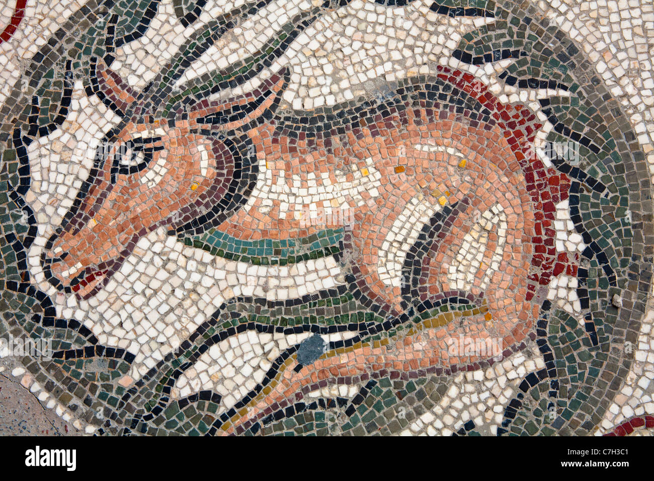 Animal mosaic outside the Triclinium, Villa Romana del Casale, Piazza Armerina, Sicily, Italy Stock Photo