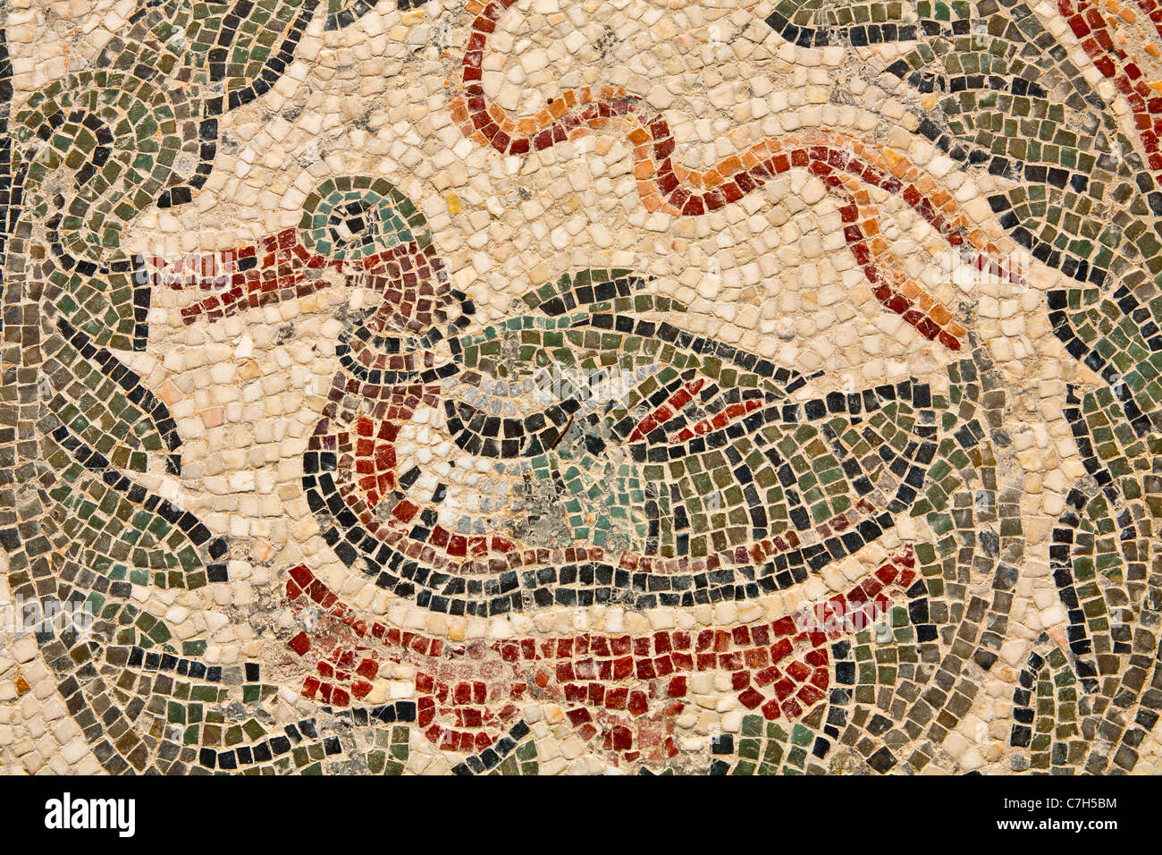https://c8.alamy.com/comp/C7H5BM/animal-mosaic-outside-the-triclinium-villa-romana-del-casale-piazza-C7H5BM.jpg