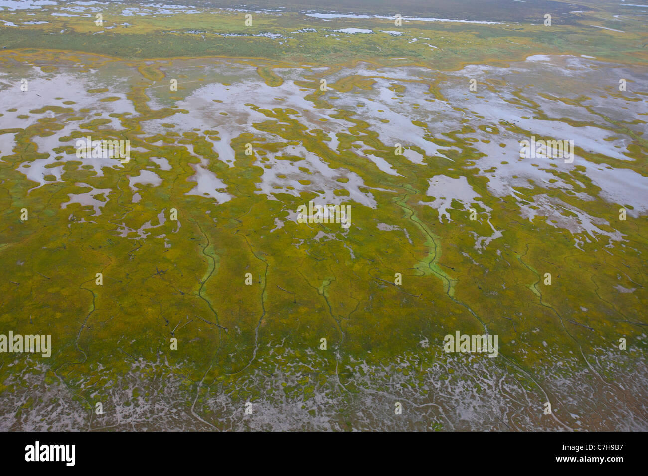 Aerial view of marsh lands of Cook Inlet between Anchorage and Lake Clark National Park, Alaska, United States of America Stock Photo