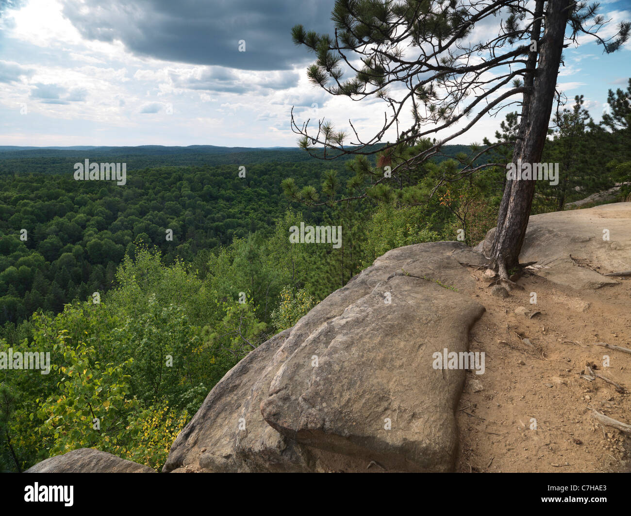 Algonquin Provincial Park summertime nature scenery. Ontario, Canada. Stock Photo