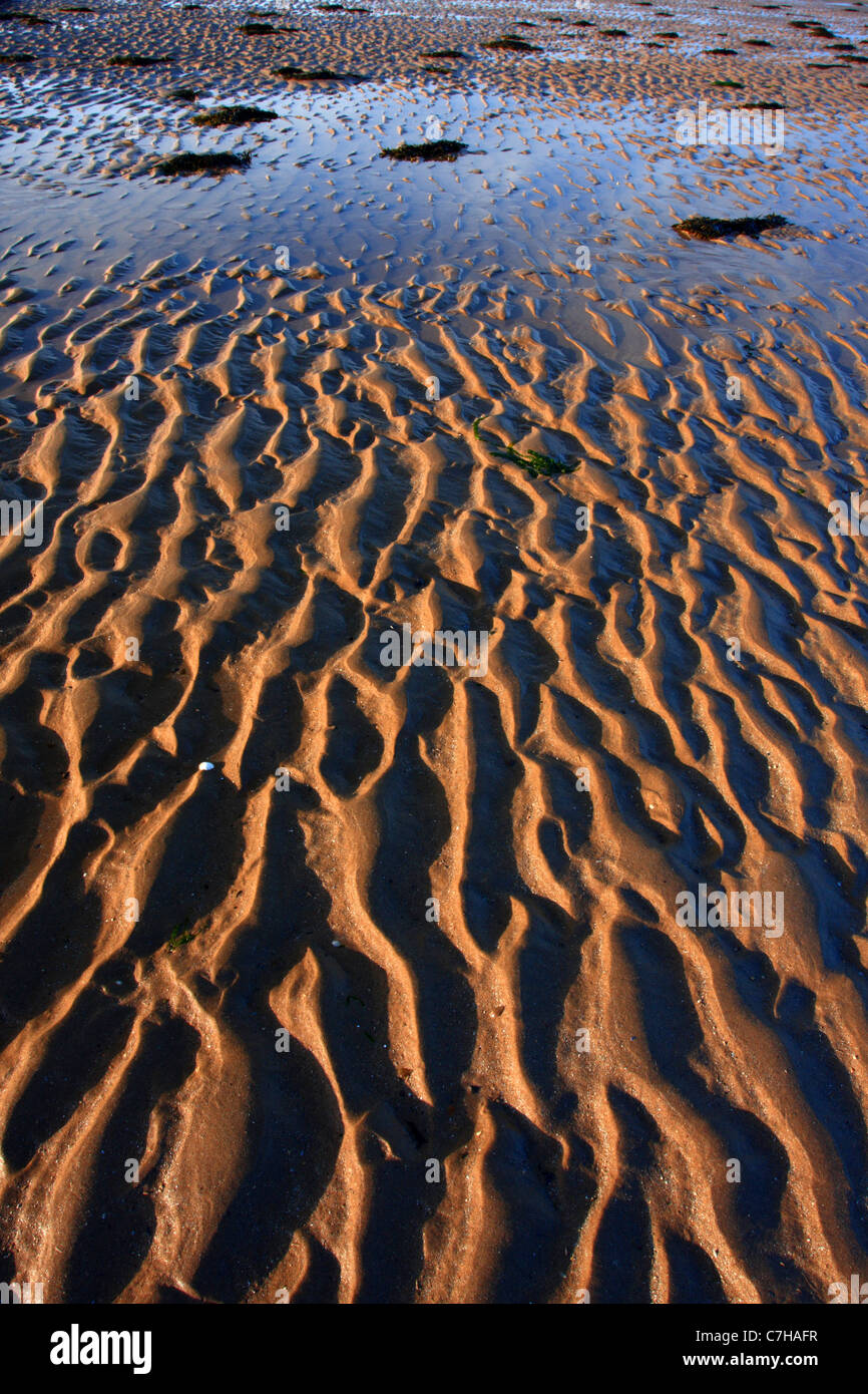 Ripples in the sand, South Beach, Tenby, Pembrokeshire, South Wales Stock Photo