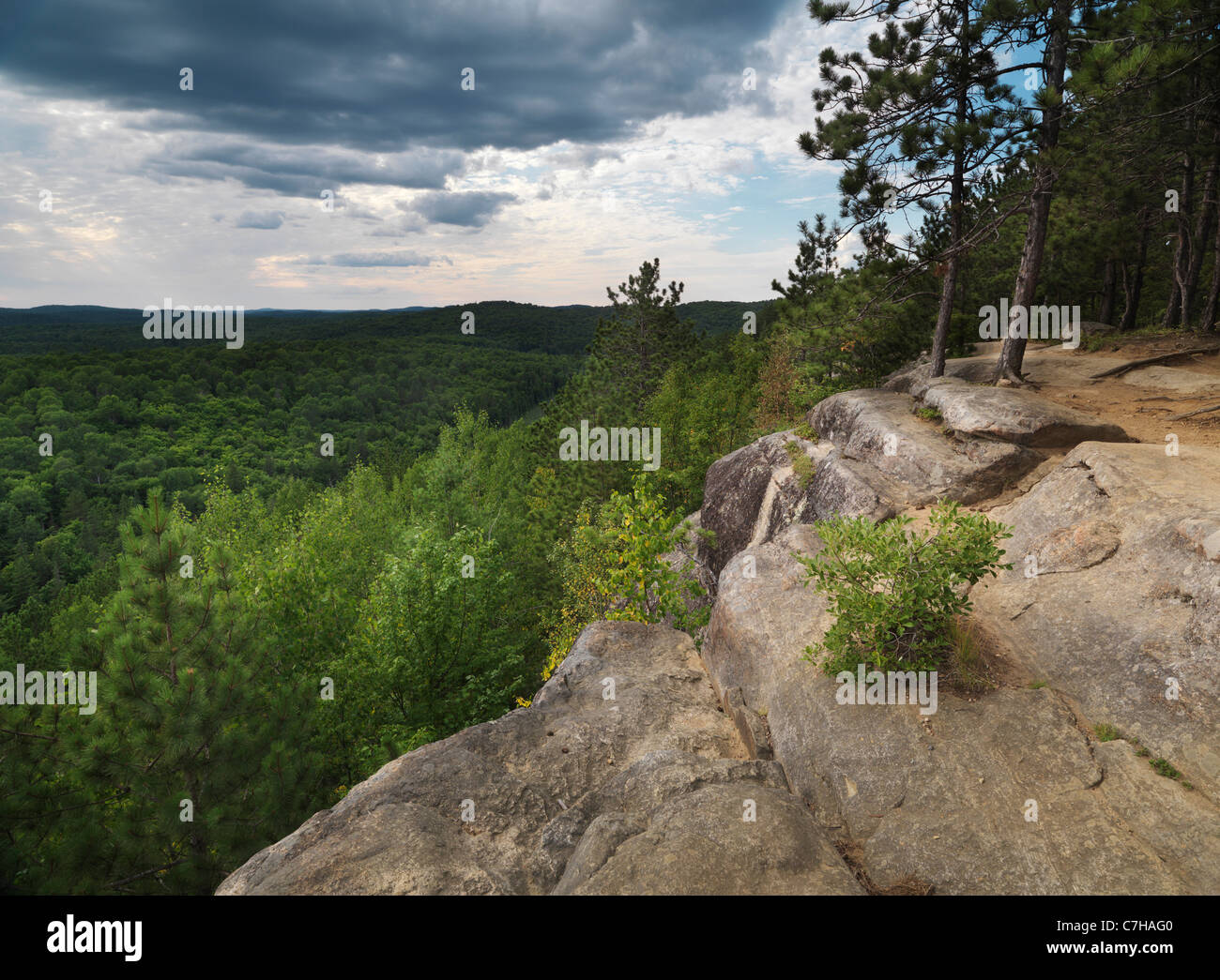 Algonquin Provincial Park summertime nature scenery. Ontario, Canada. Stock Photo