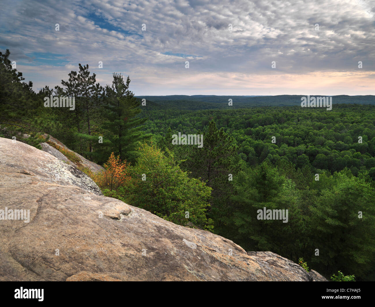 Algonquin Provincial Park summertime nature scenery. Ontario, Canada. Stock Photo