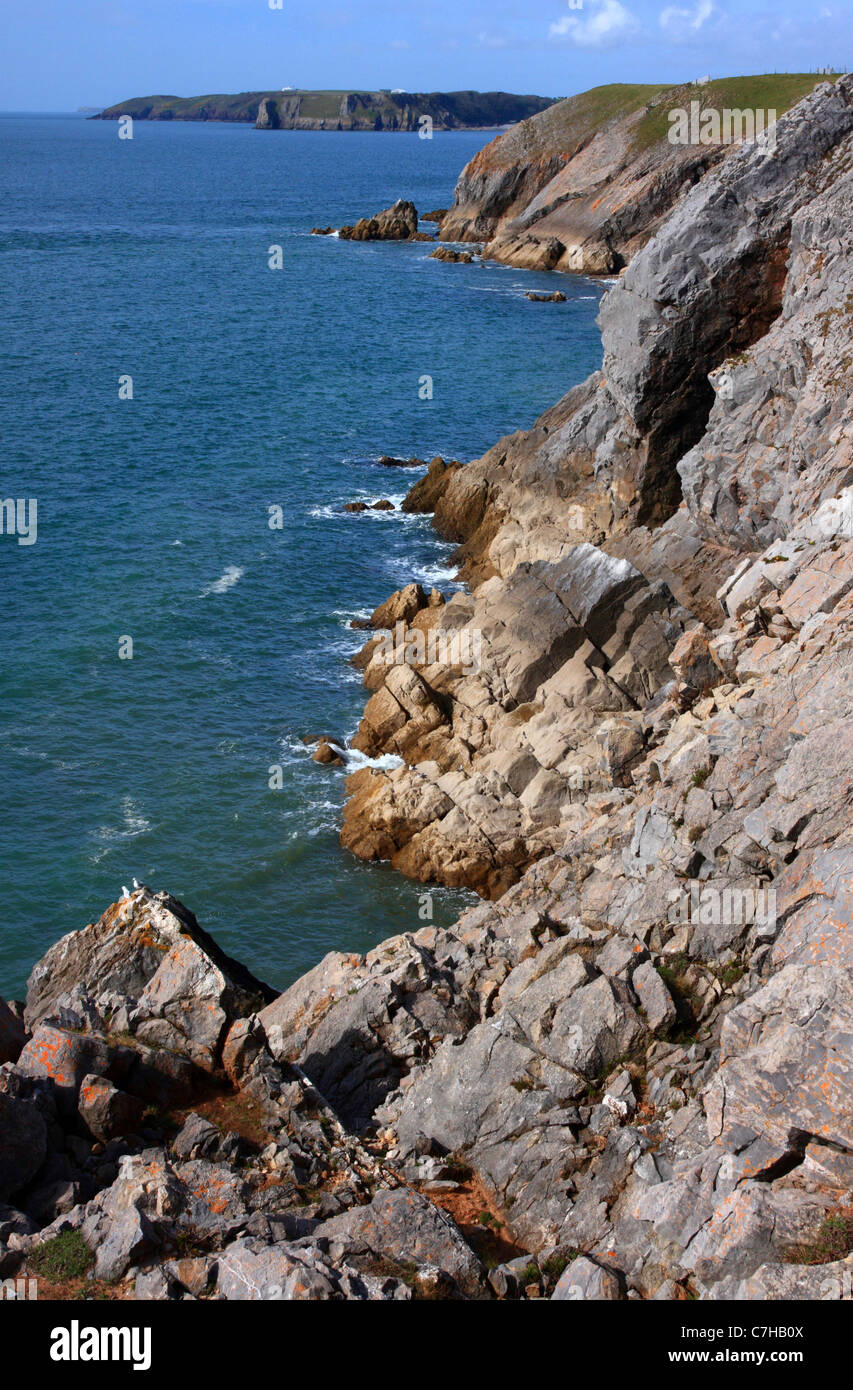 The rugged cliffs of the Pembrokeshire Coast, Near Penally, Pembrokeshire, South Wales Stock Photo