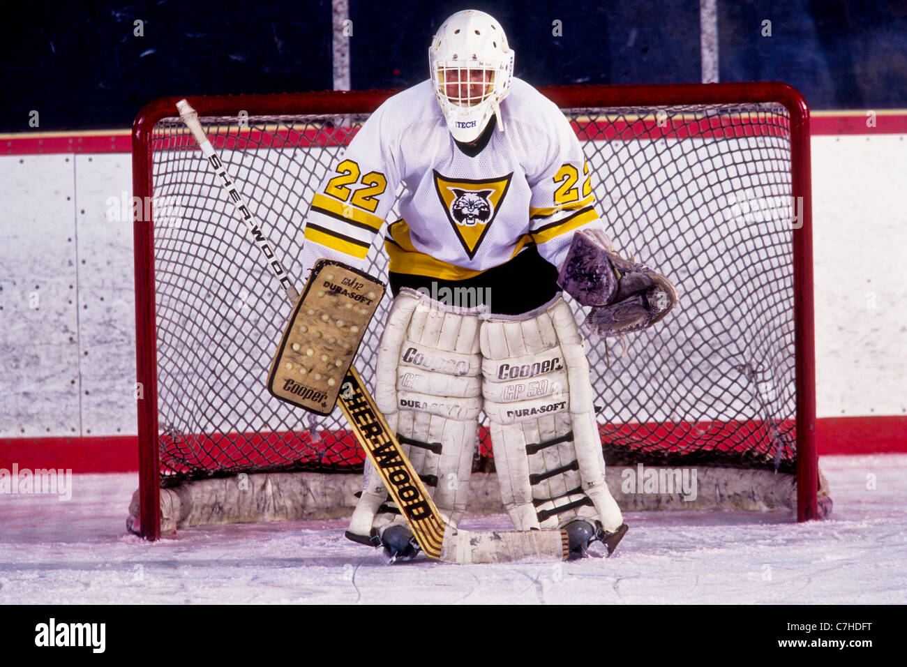 Ice Hockey goalie in action Stock Photo Alamy
